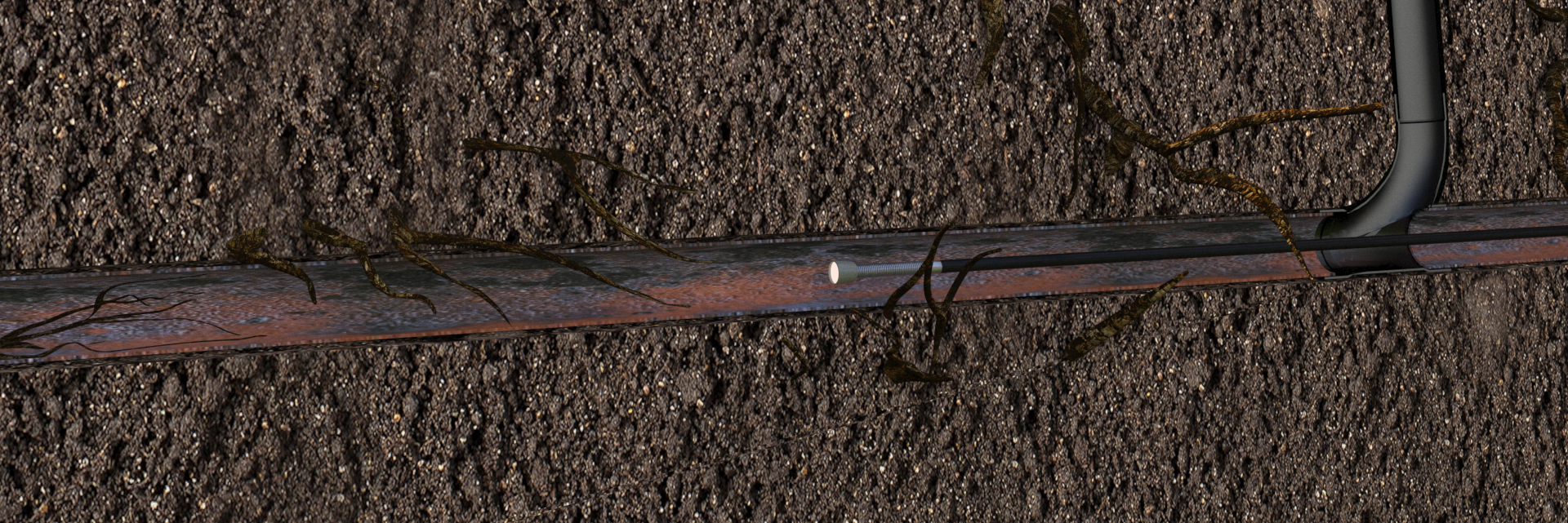Tree Root Invasion is a common problem in sewer lines.